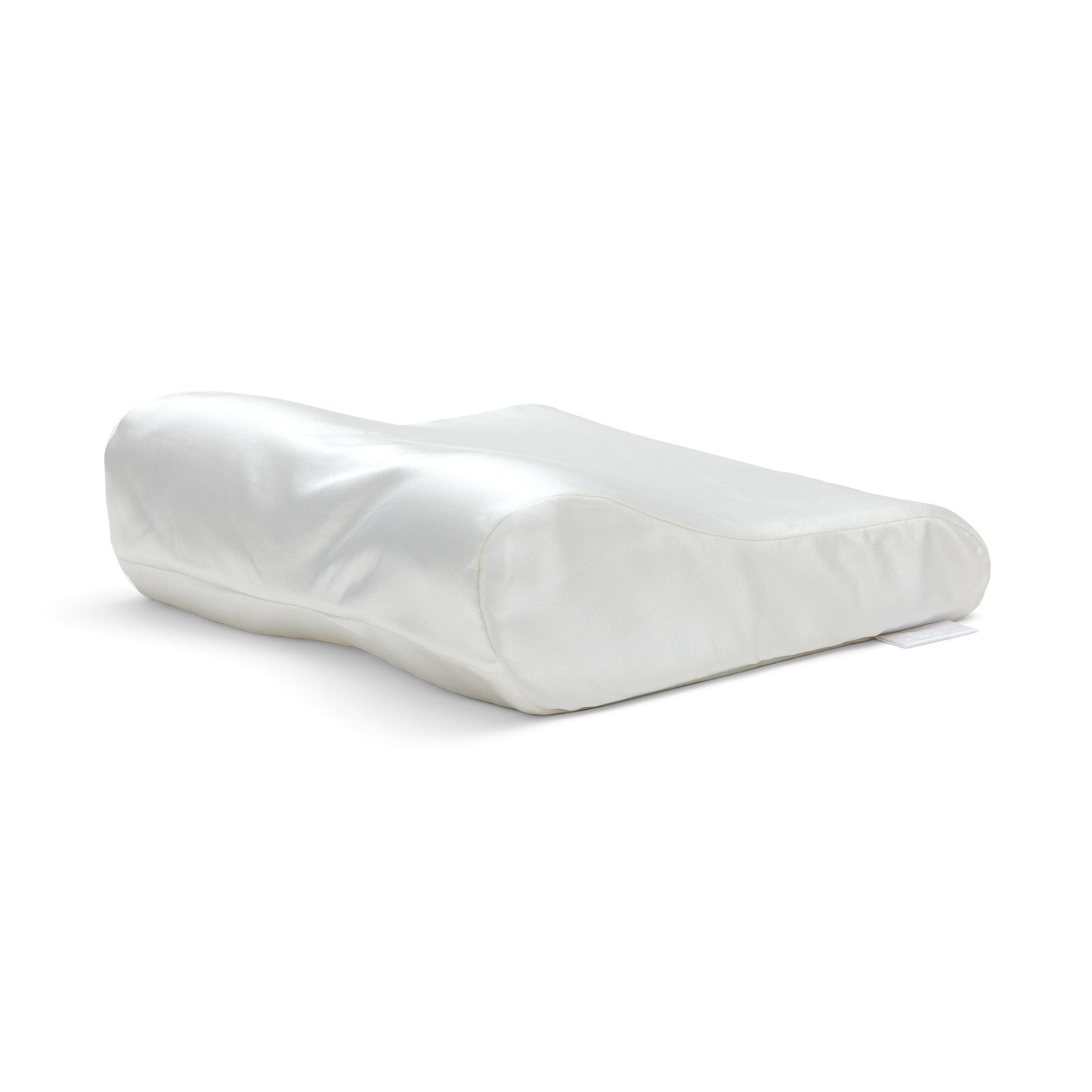 Everywhere Pillow