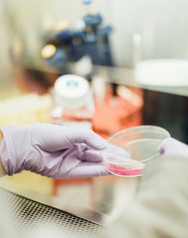 Breast Cancer Cure | Funding Research for a Cure in NZ